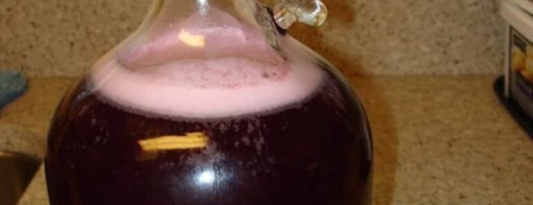 👉 HomemadeWine