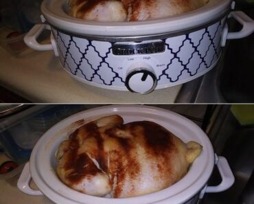 👉A Tranquil Slow-Cooked Chicken