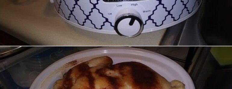 👉A Tranquil Slow-Cooked Chicken