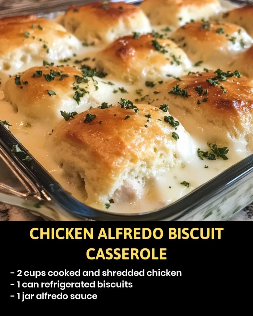 👉Creamy Chicken Alfredo Biscuit Casserole Recipes on a Budget